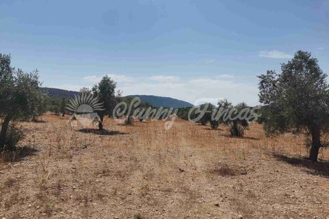 Helårsgrund i Biar, Alicante, Biar - € 27.500 | Ref: SF0511 - foto 1
